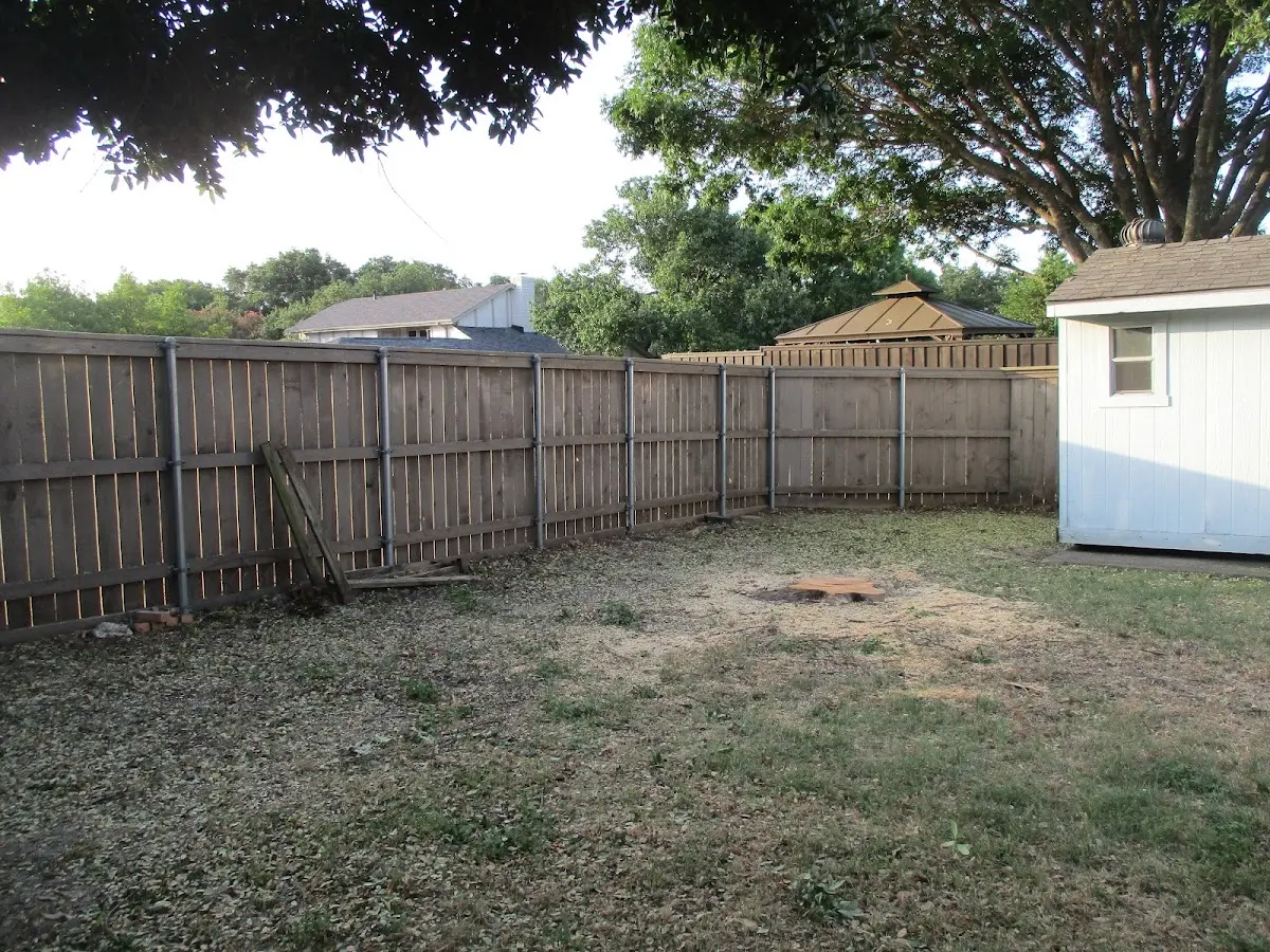 Cleared yard after professional tree removal in Pickrell