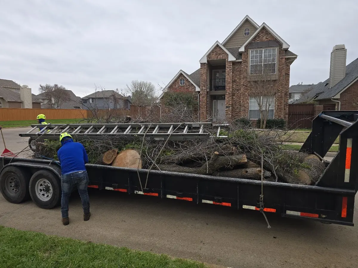 Expert Tree Removal with proper safety equipment in Pickrell
